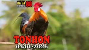Xem Lại Đá Gà Tonhon Hôm Nay 05012026